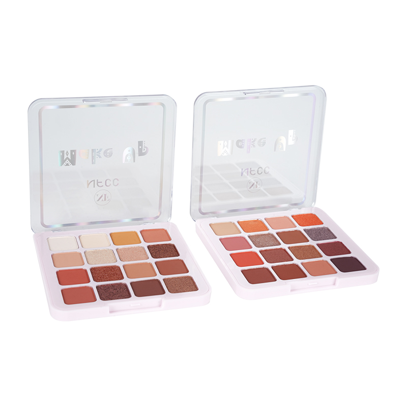 Paleta de sombra fosco e brilho de 16 cores
